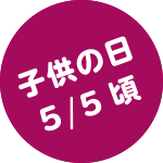 子供の日　5/5頃